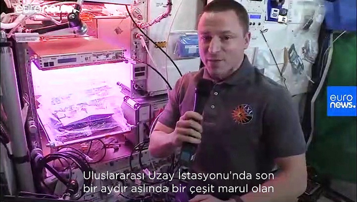Uzay Günlükleri: Uluslararası Uzay İstasyonu\'nda hangi bitkiler yetişiyor?
