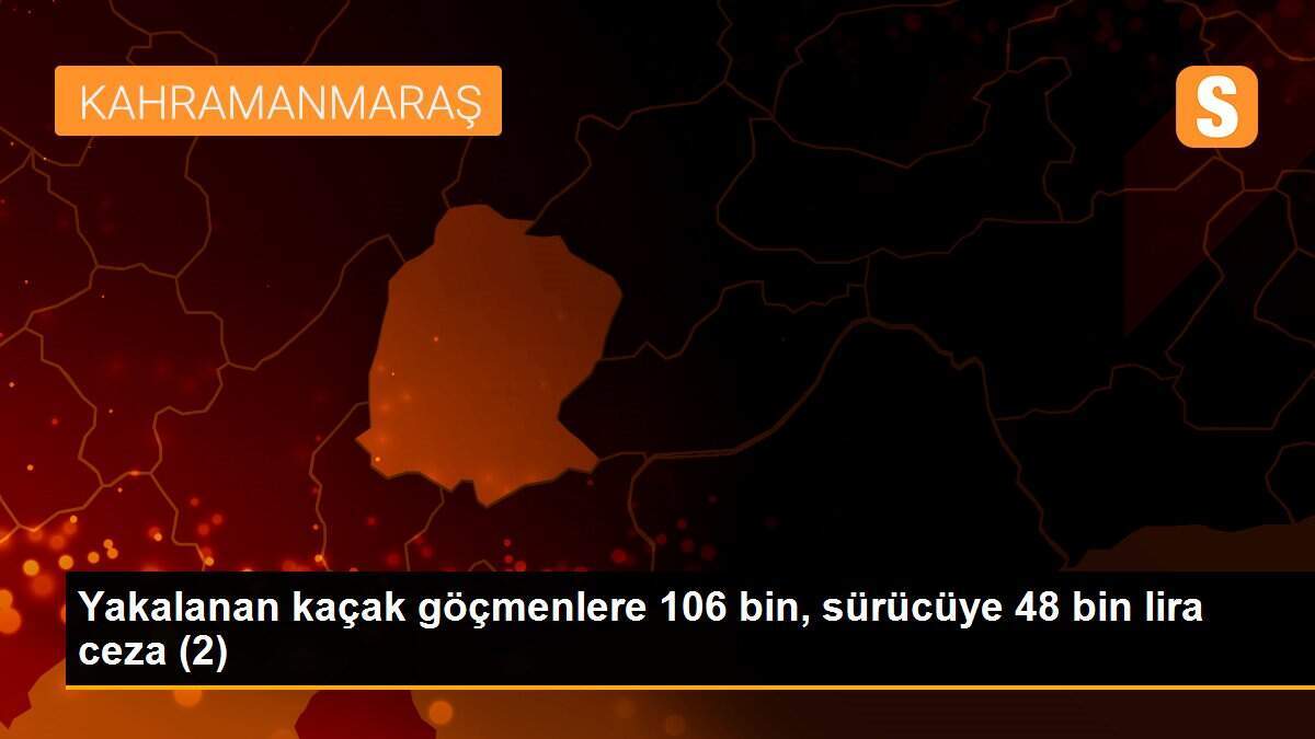 Yakalanan kaçak göçmenlere 106 bin, sürücüye 48 bin lira ceza (2)