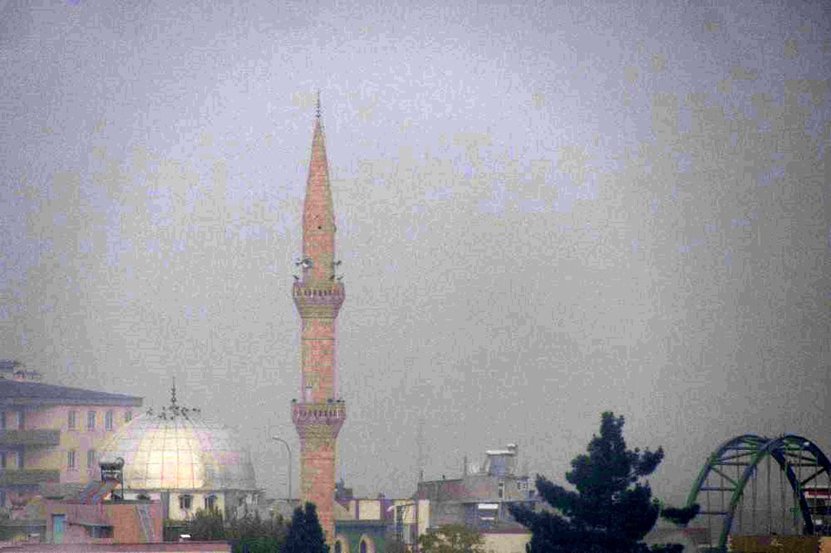 Araban\'da yoğun sis