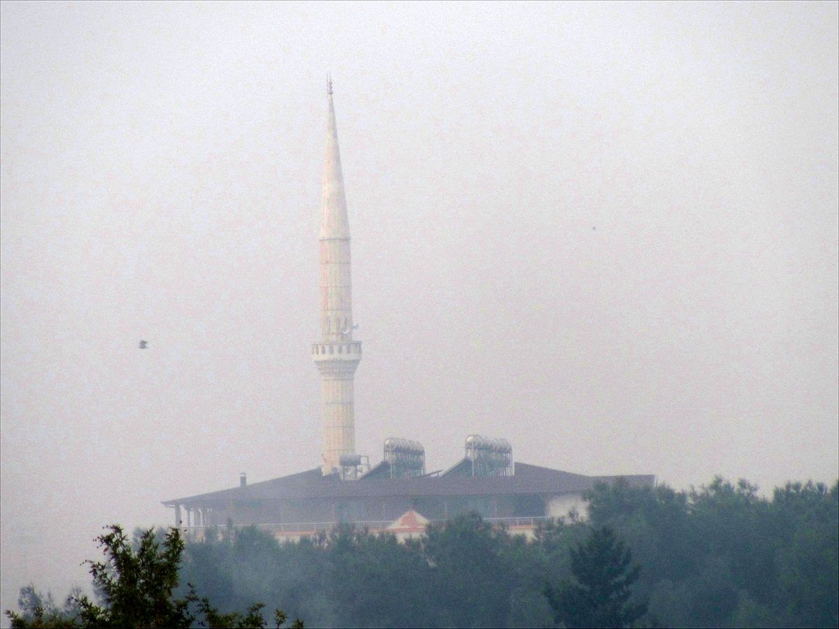 Araban\'da yoğun sis hayatı olumsuz etkiledi