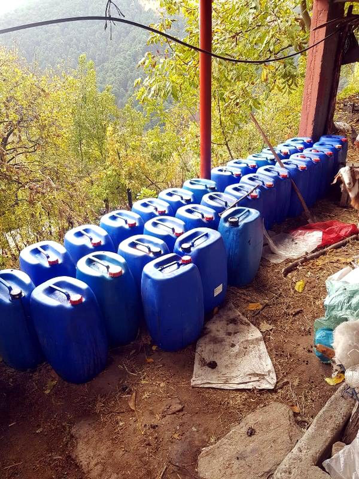 Bozdoğan\'da 6 bin 500 litre kaçak şarap ele geçirildi
