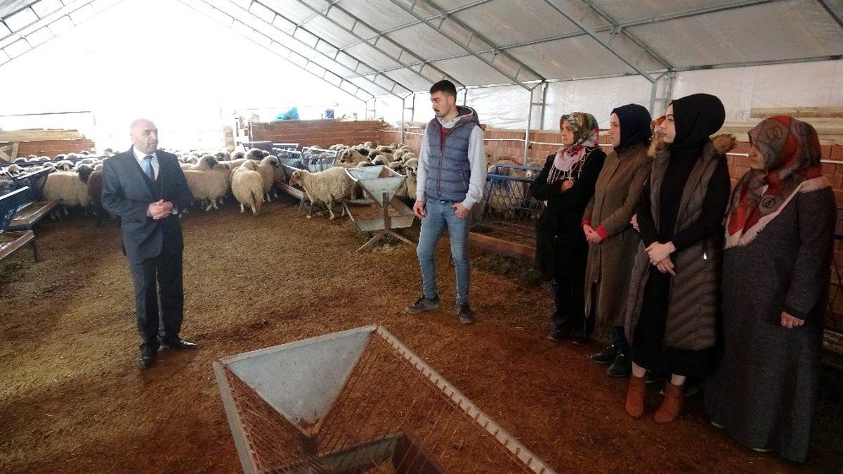 Çobanlık akademisi ilgi görüyor