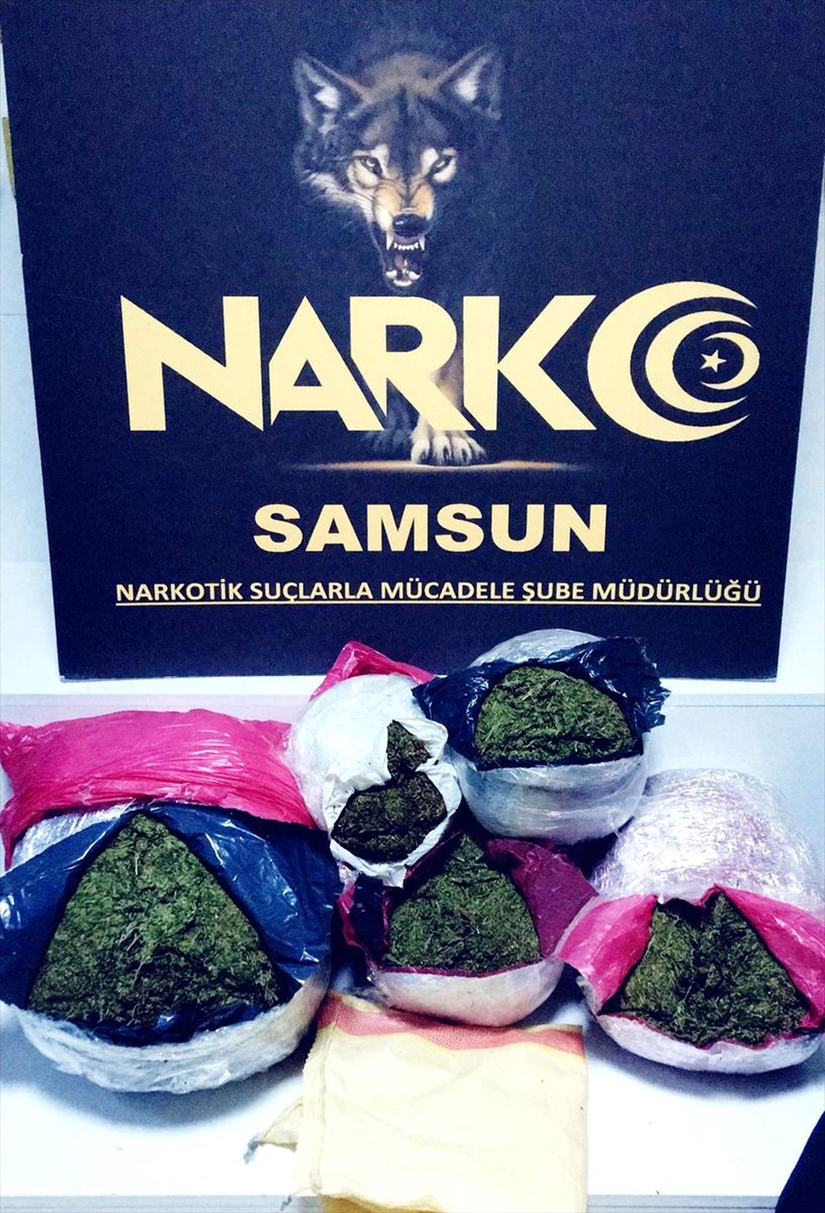 Gürcistan plakalı tırda 12 kilo 100 gram esrar ele geçirildi