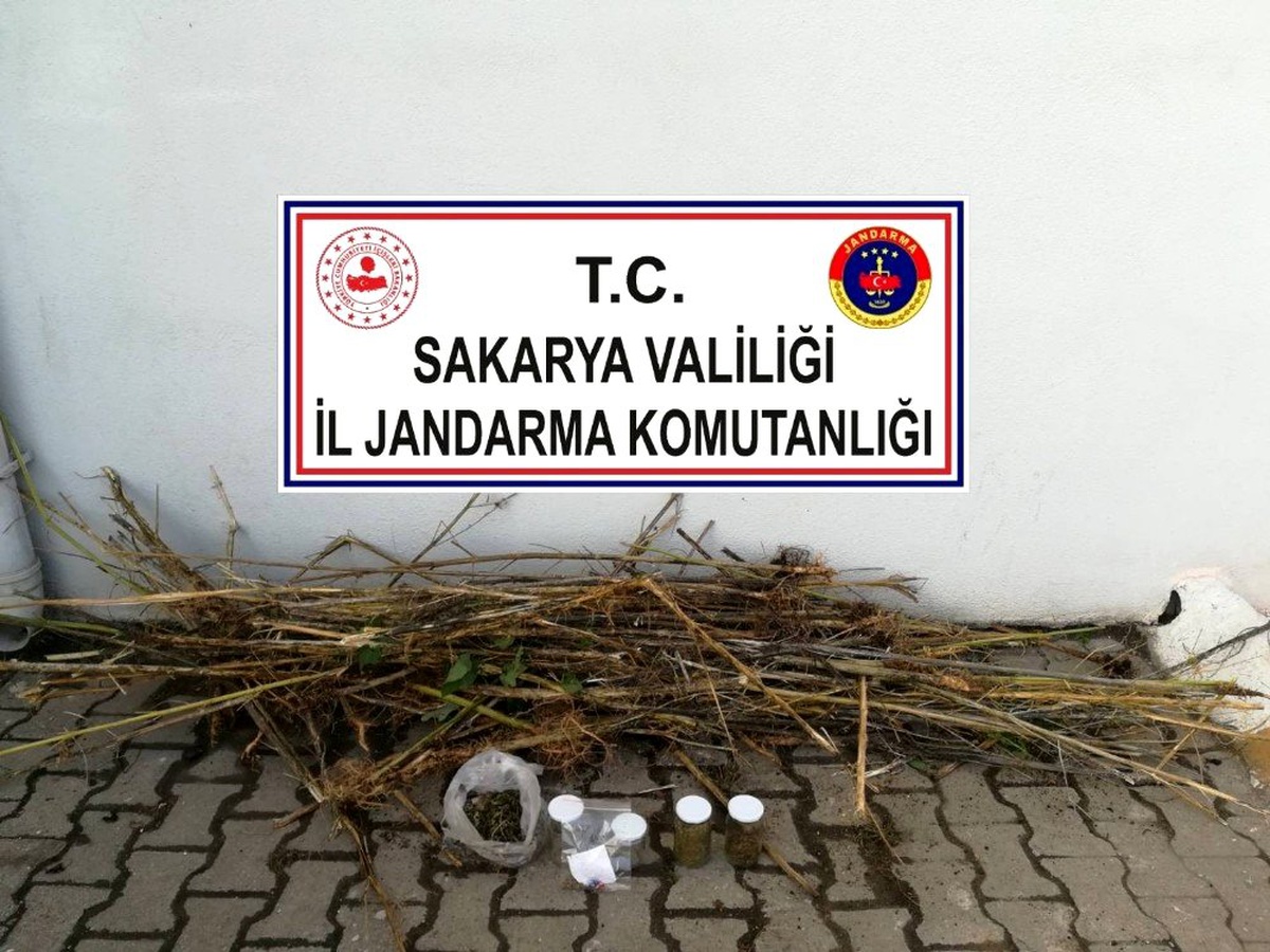 İş yerinde uyuşturucu eken bekçi tutuklandı