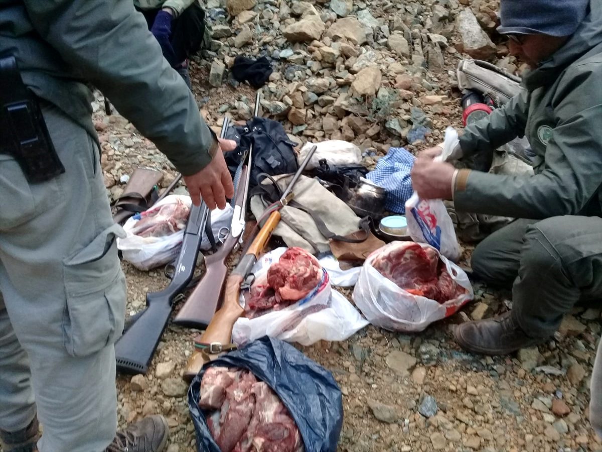 Kaçak yaban keçisi avına 30 bin lira ceza