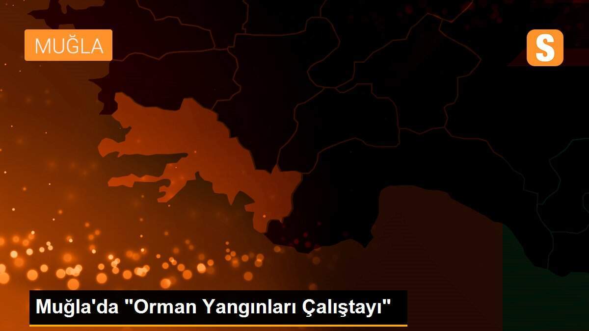 Muğla\'da "Orman Yangınları Çalıştayı"