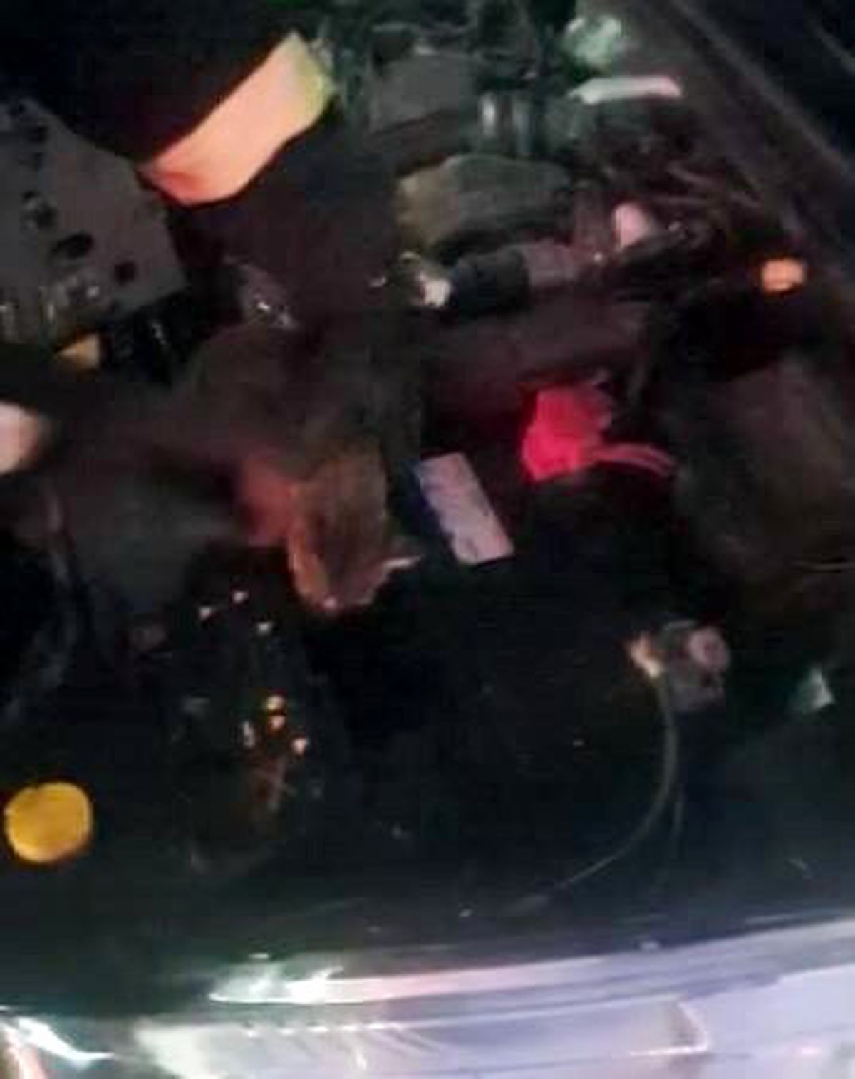 Otomobilde kedi kurtarma operasyonu