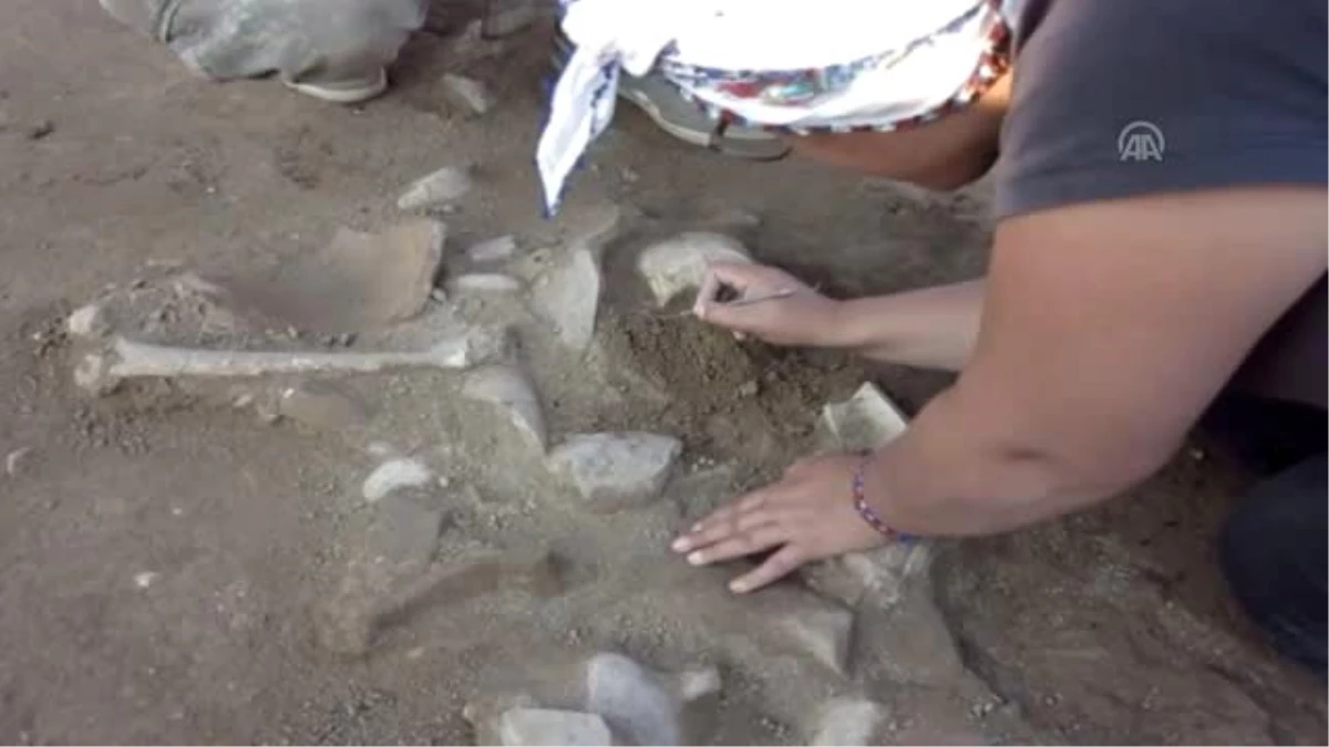 Şapinuva Antik Kenti\'nde 3500 yıllık insan kafatası ve uyluk kemiği bulundu