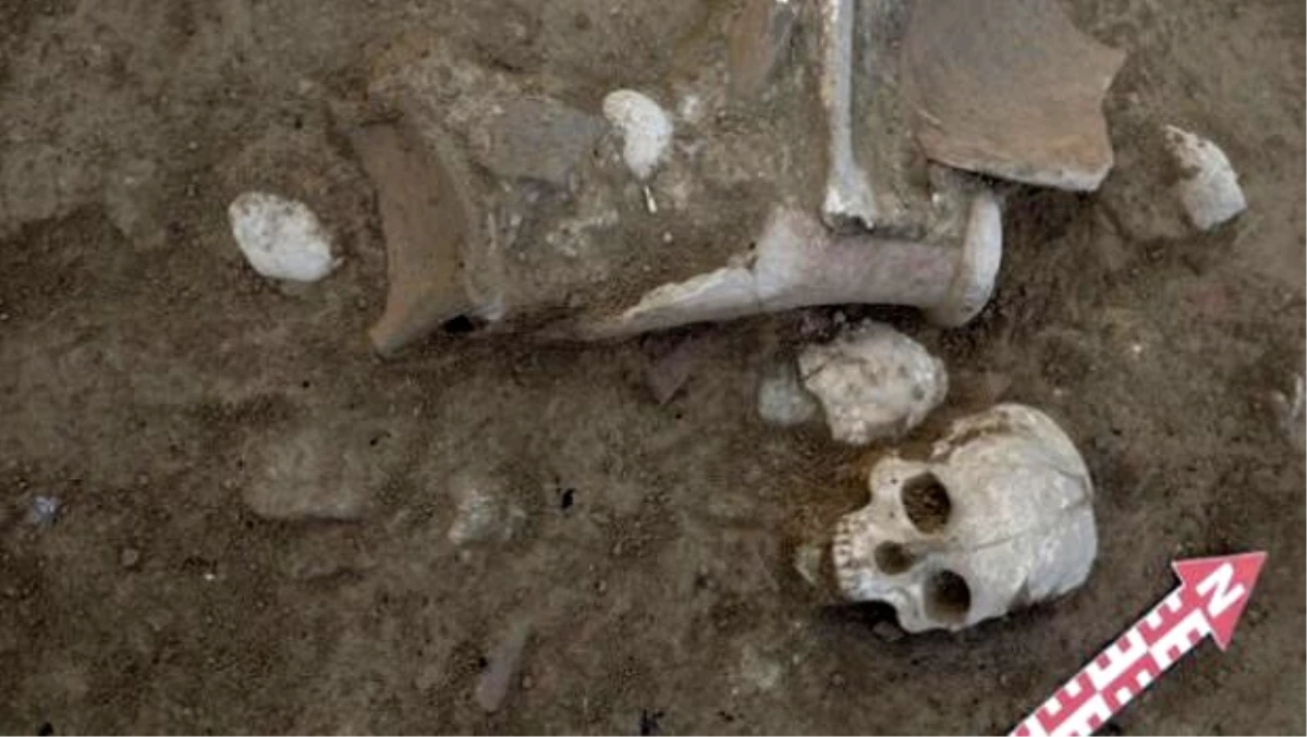Şapinuva Antik Kenti\'nde 3500 yıllık insan kafatası ve uyluk kemiği bulundu