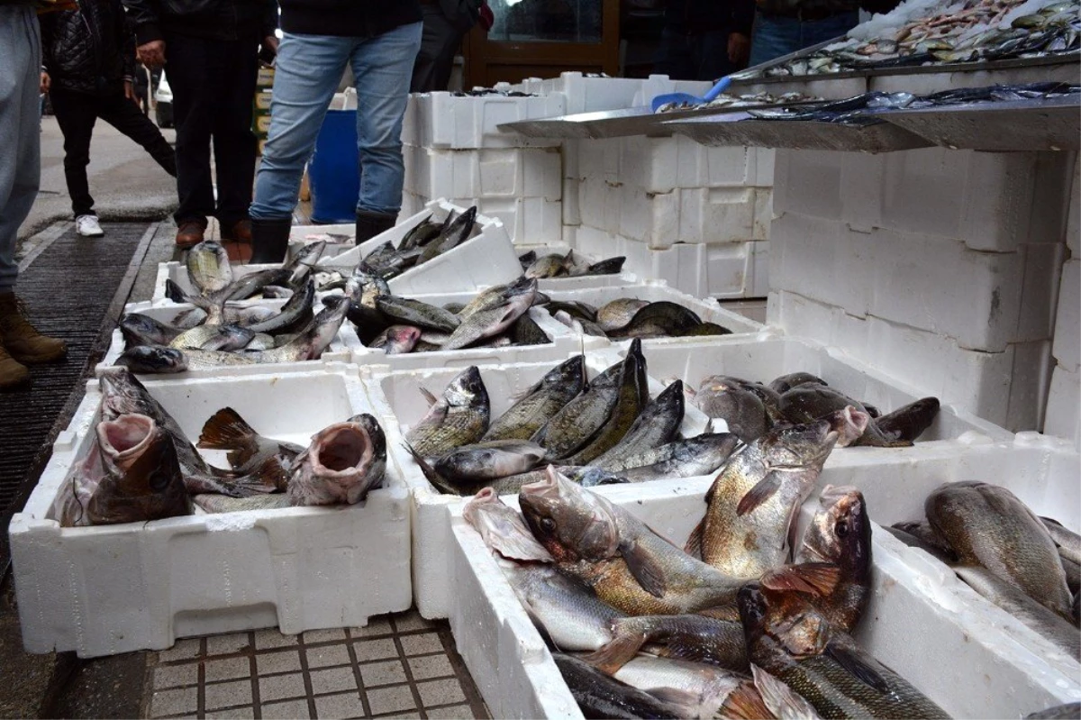 Sinop\'ta balık tezgahları şenlendi