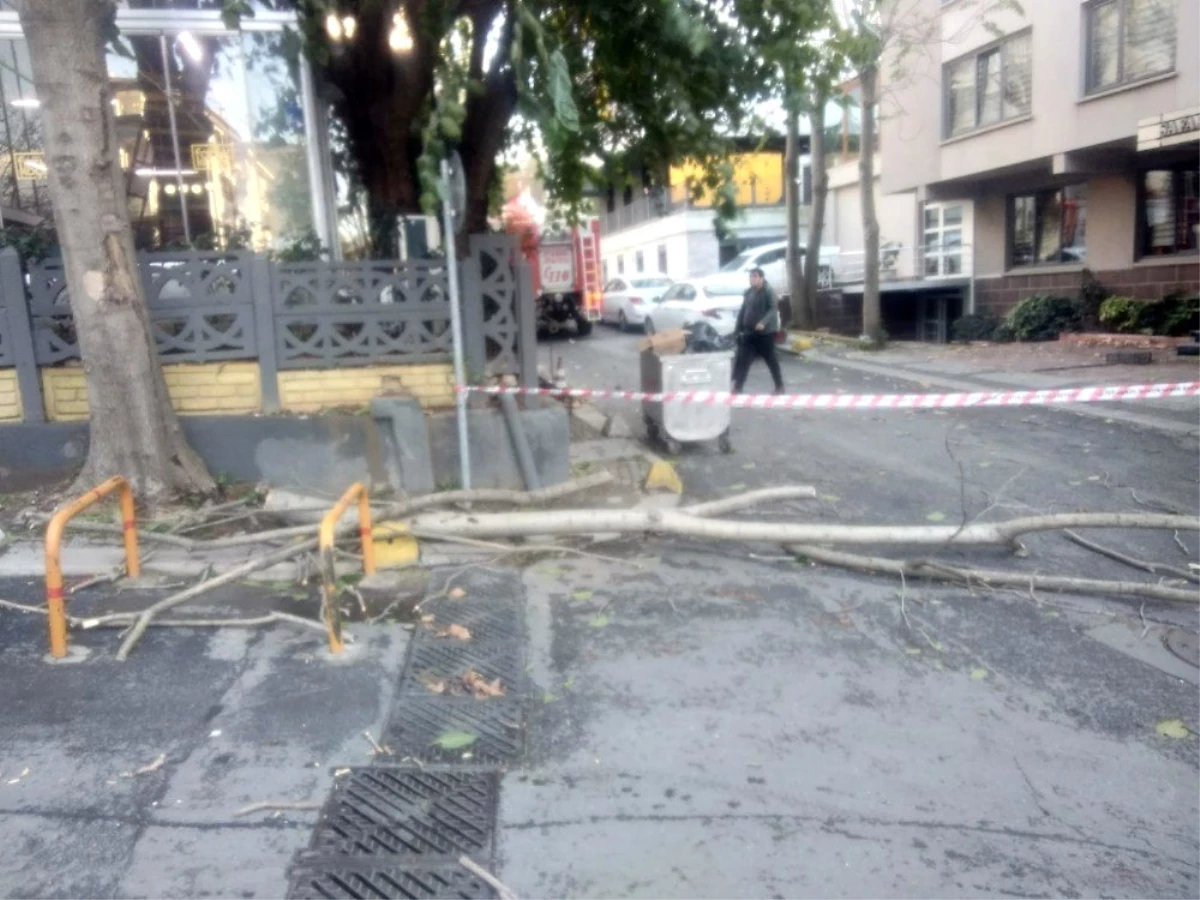 Şişli\'de aşırı rüzgardan kırılan ağaç dalı, restoran çatısına düştü