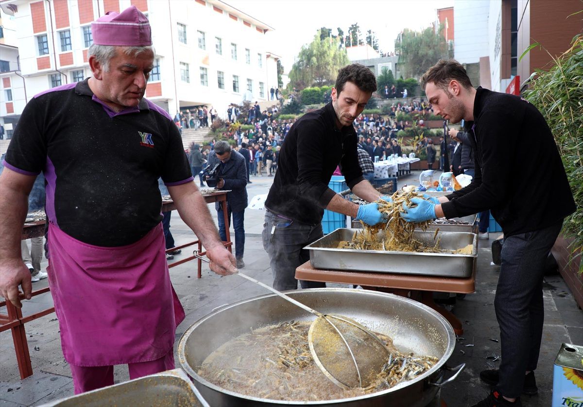 Üniversite öğrencileri festivalde 1 ton hamsi tüketti