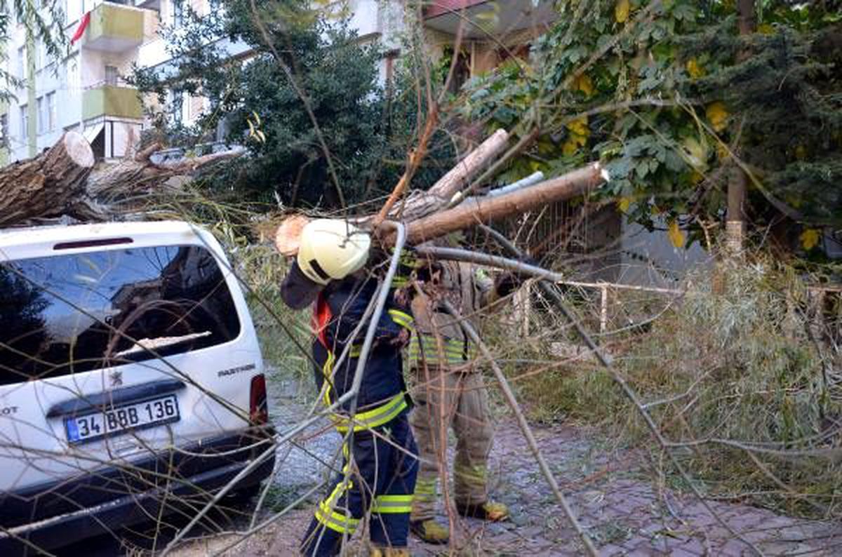 Avcılar\'da otomobilin üstüne ağaç devrildi