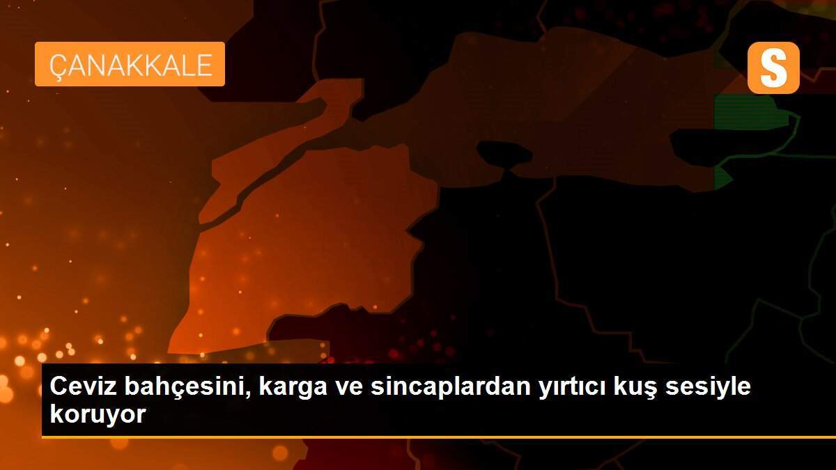 Ceviz bahçesini, karga ve sincaplardan yırtıcı kuş sesiyle koruyor