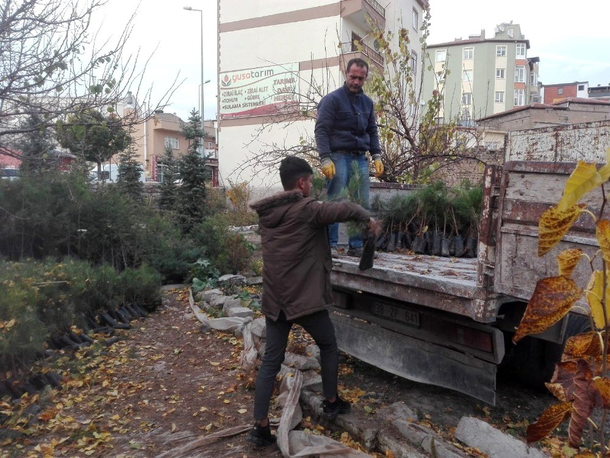 Develi Ülkü Ocakları 2 Yılda 125 Bin Fidan Dikti
