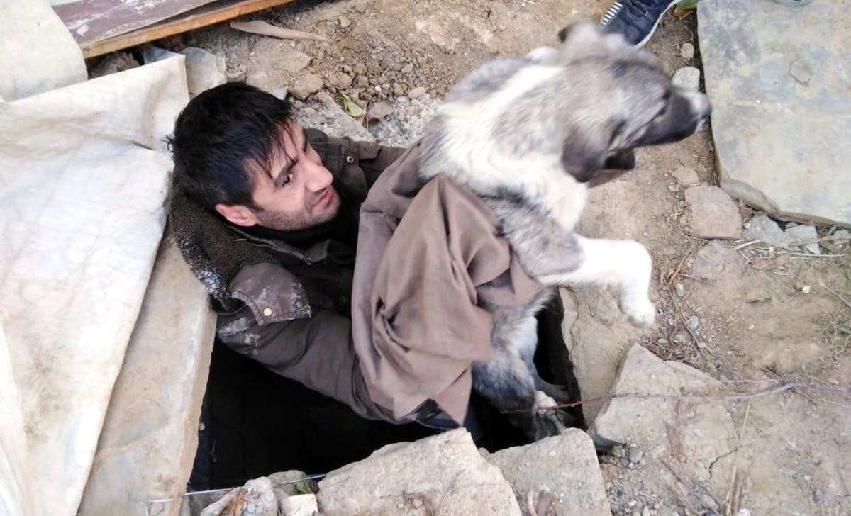 Duyarlı vatandaş kuyuya düşen köpeği kurtardı
