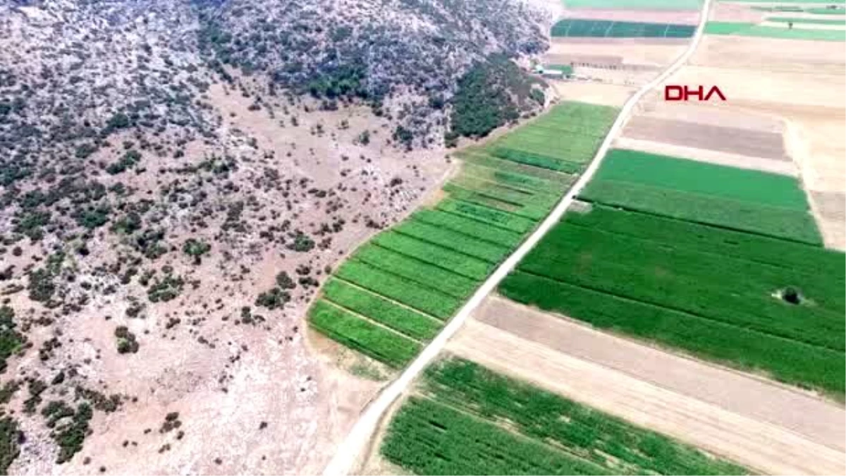 Isparta yasa dışı kenevire uydudan takip