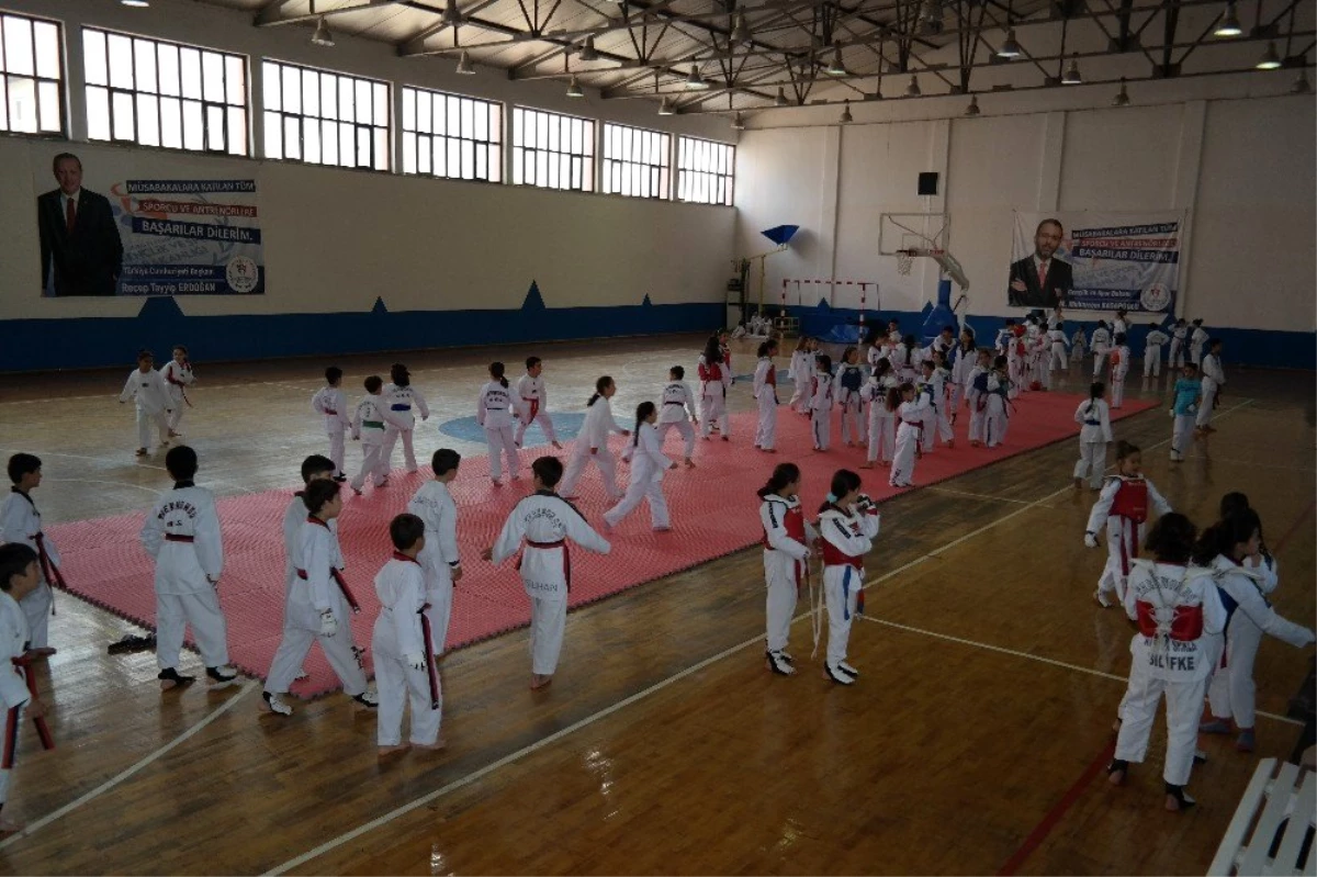 Silifke\'de \'Minikler Taekwondo Turnuvası\' düzenlendi