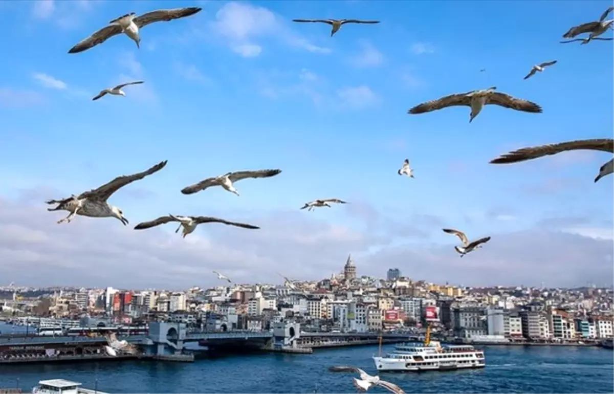 Türkiye yeniden Uluslararası Denizcilik Örgütü Konsey üyesi