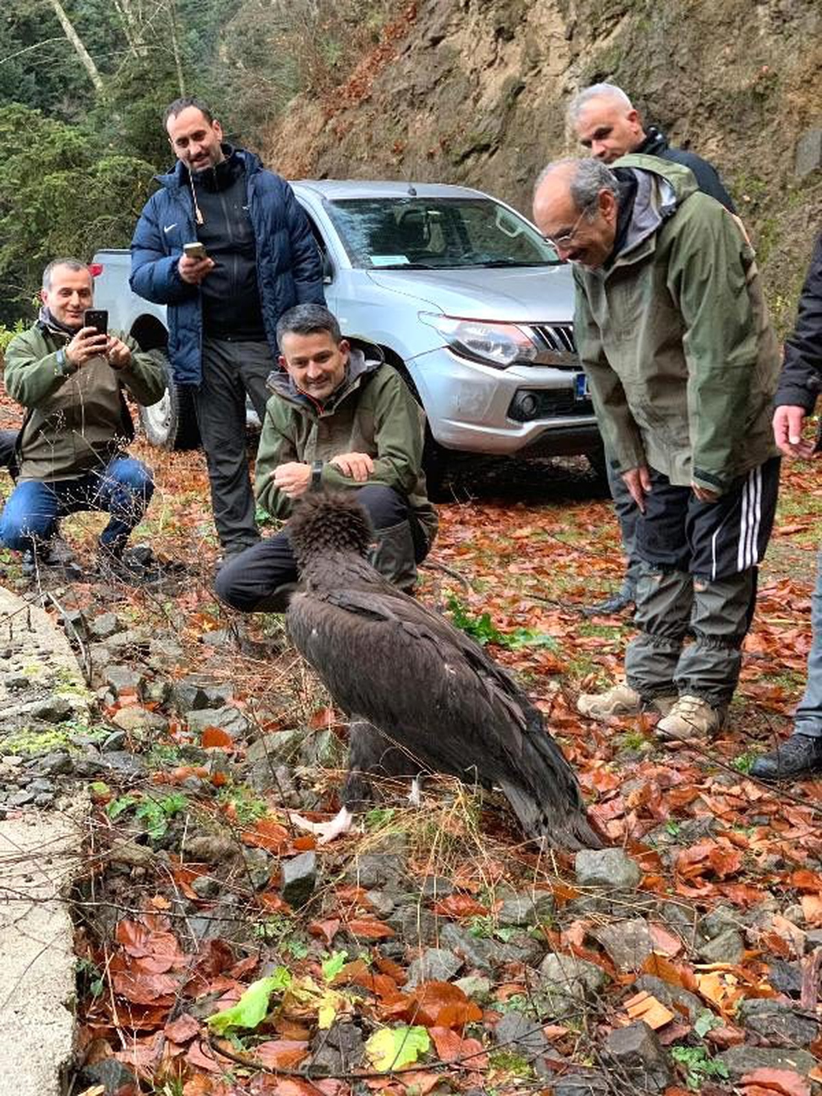 Bakan Pakdemirli, Kara Akbaba\'yı doğaya bıraktı