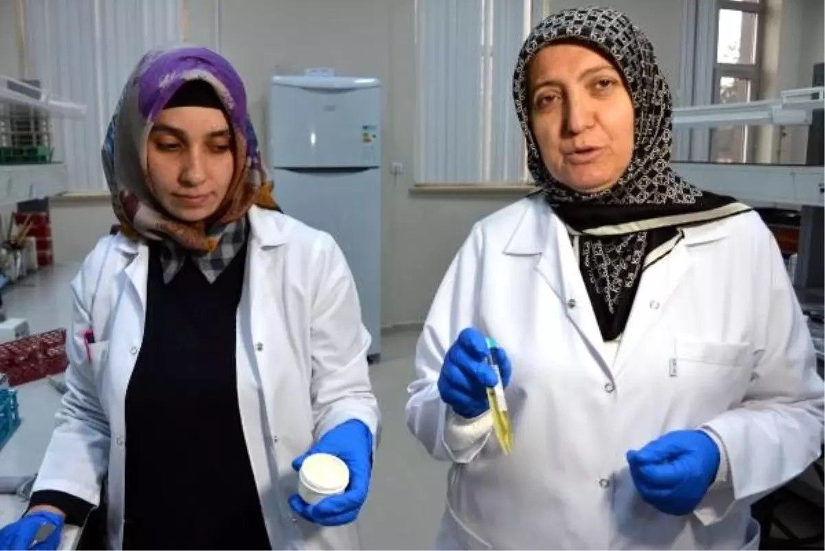 Çaşır bitkisinden diyabetik yaraları için krem ve sprey ürettiler