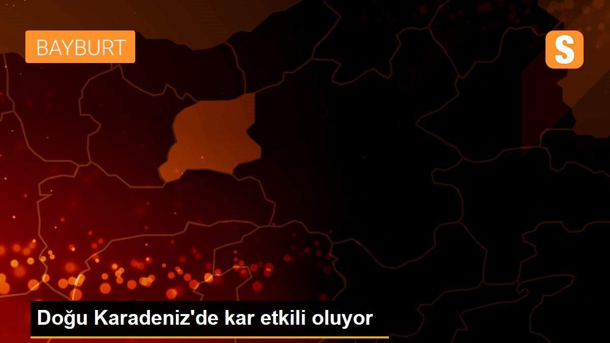 Doğu Karadeniz\'de kar etkili oluyor