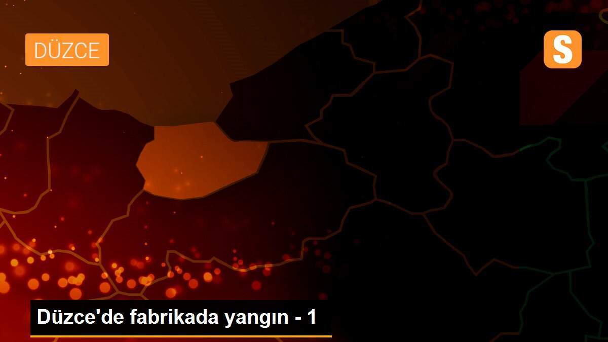 Düzce\'de fabrikada yangın - 1