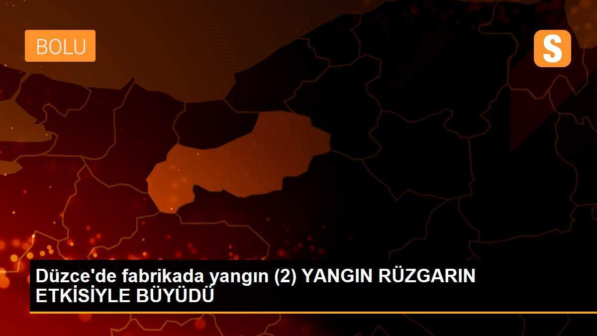 Düzce\'de fabrikada yangın (2) YANGIN RÜZGARIN ETKİSİYLE BÜYÜDÜ