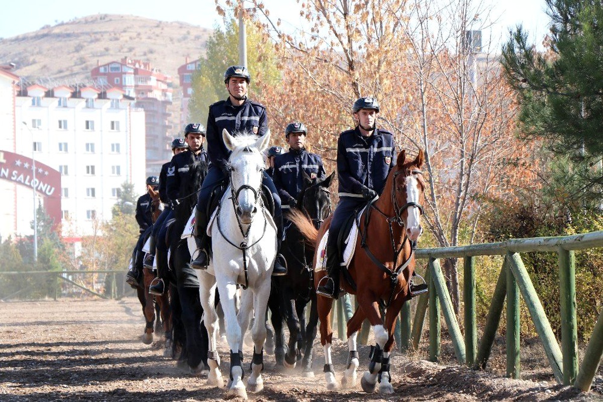 Kadın astsubaylar atları anne şefkati ile yetiştiriyor