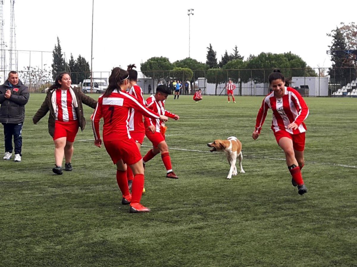 Kadınlar futbol maçında davetsiz misafir