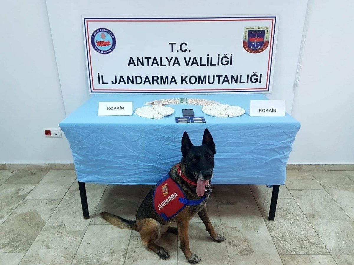 Laptop çantasında 1 milyon 250 bin liralık kokain ele geçirildi