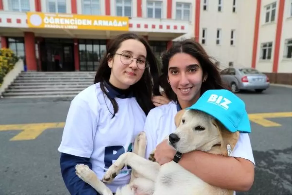Öğrenciler sahiplendikleri köpeğe okul bahçesinde bakıyor