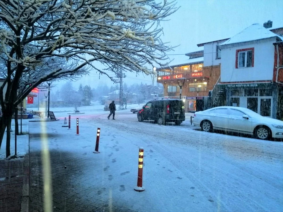 Ordu\'nun yüksek kesimlerinde kar yağışı etkili oldu