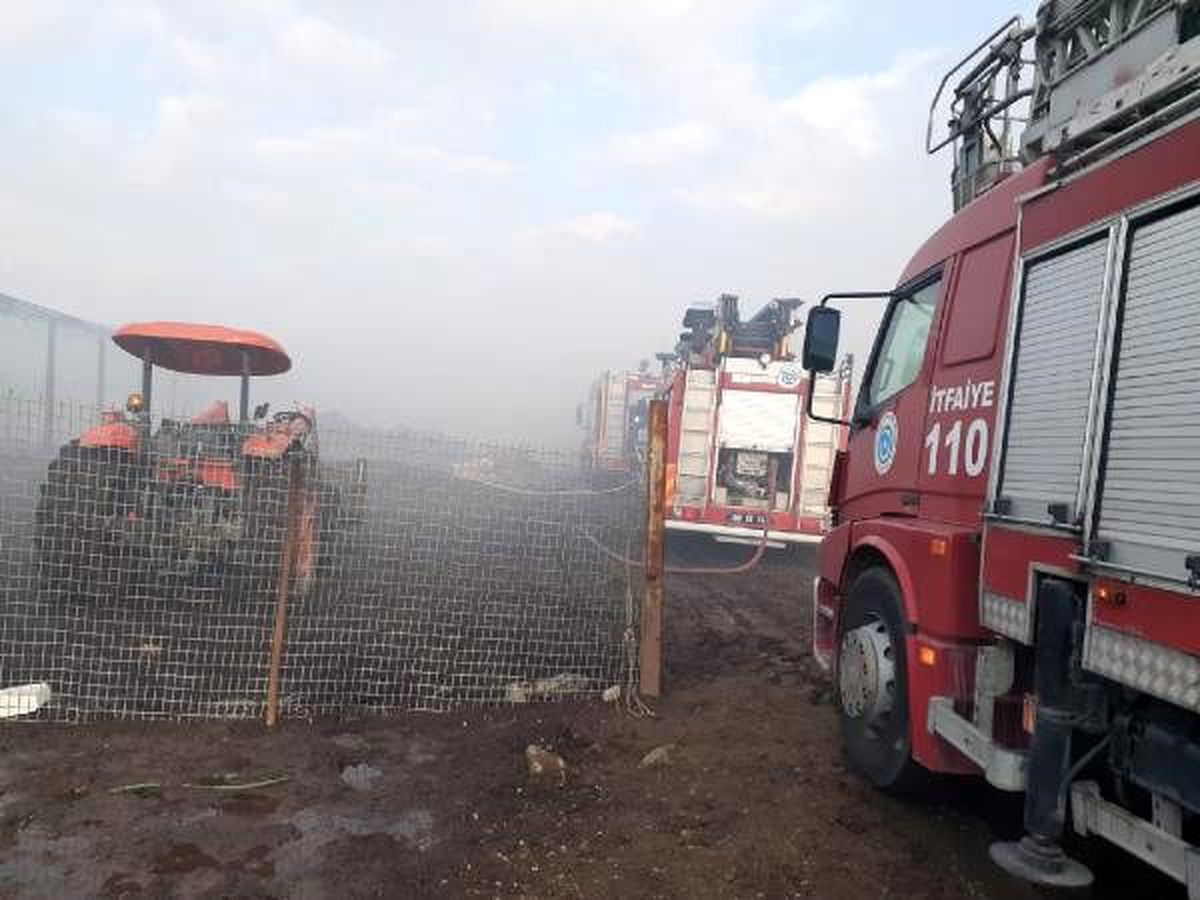 Tekirdağ\'da 30 bin saman balyasının bulunduğu çiftlikte yangın