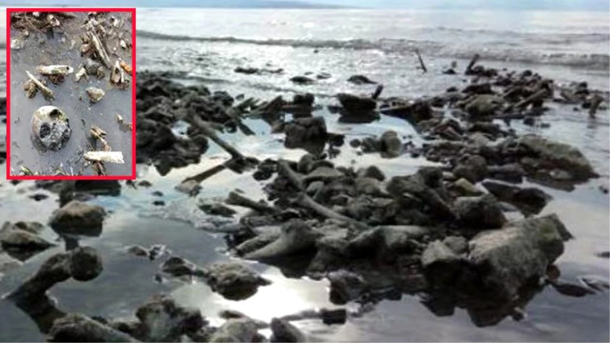 Van Gölü\'nde sular çekilince kafatası ve kemikler ortaya çıktı