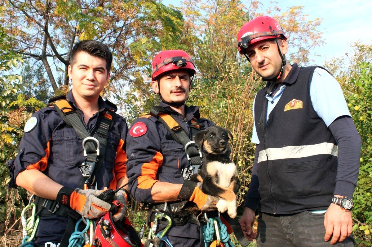 30 metrelik kuyuya düşen yavru köpek operasyonla kurtarıldı