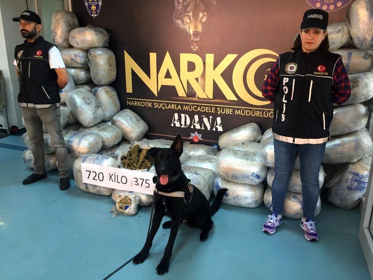 Adana\'da 721 kilo esrar ele geçirildi