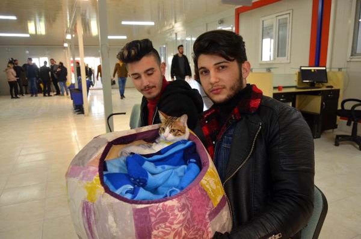 Depremde zarar gören hayvan hastanesi kapılarını açtı