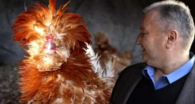 Dunyanin Her Yerinden Sus Tavugu Yumurtasi Getirtiyor Urettiklerini Dunyaya Satiyor Son Dakika Dunyanin Her Yerinden Sus Tavugu Yumurtasi Getirtiyor Urettiklerini Dunyaya Satiyor Son Dakika