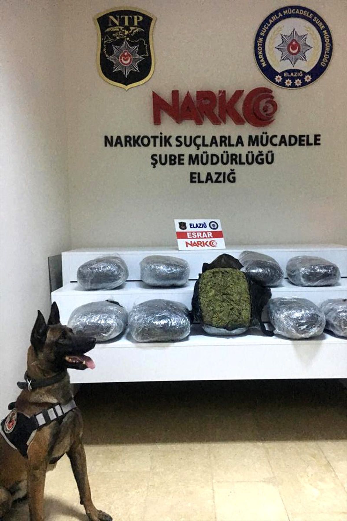Elazığ\'da 18 kilo 600 gram esrar ele geçirildi