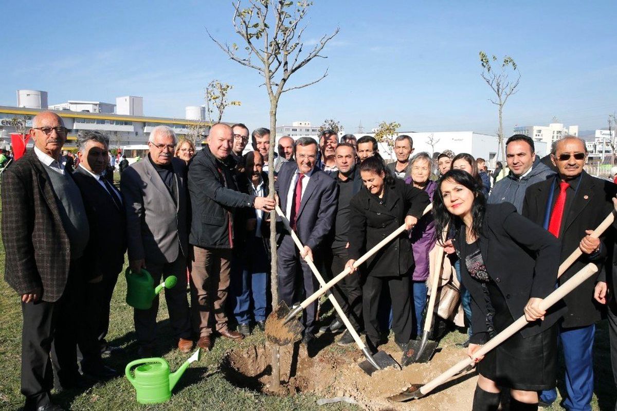 Engelsiz bir dünya için ağaç diktiler