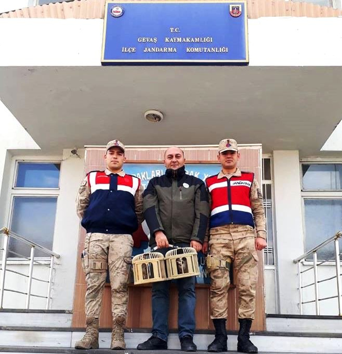Gevaş\'ta kafes avcıları jandarmaya takıldı