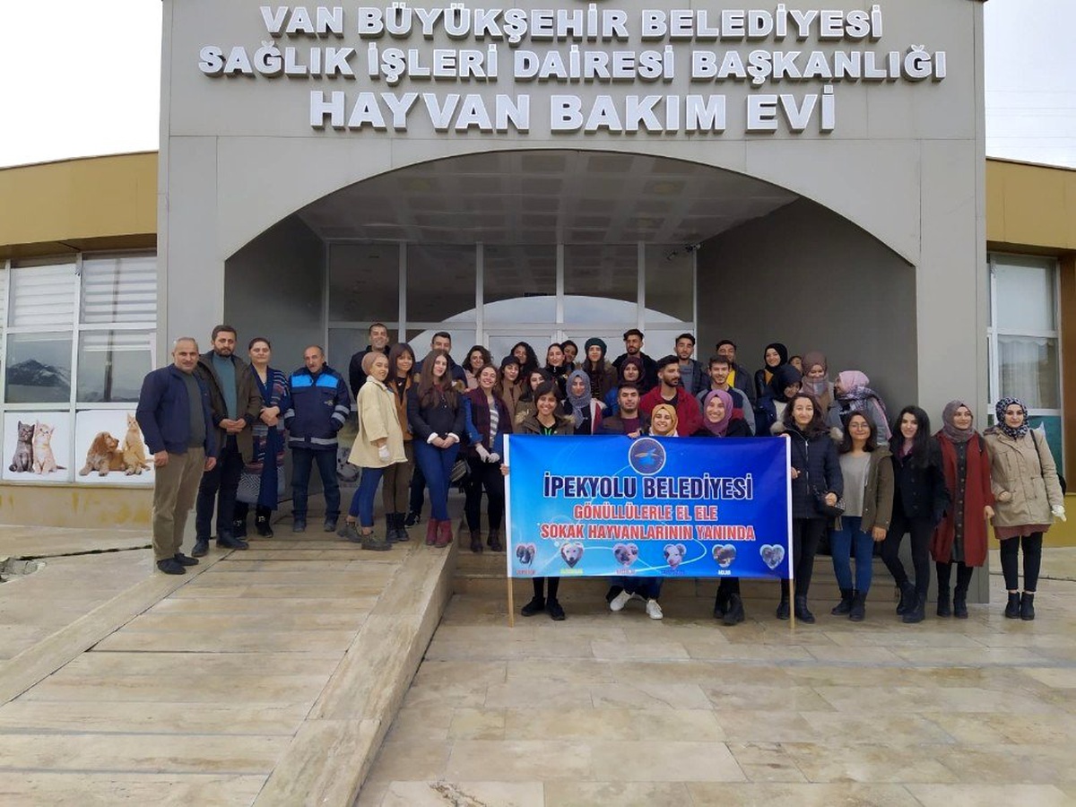 İpekyolu Belediyesinden sokak hayvanları için örnek çalışma