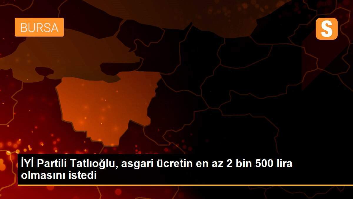 İYİ Partili Tatlıoğlu, asgari ücretin en az 2 bin 500 lira olmasını istedi