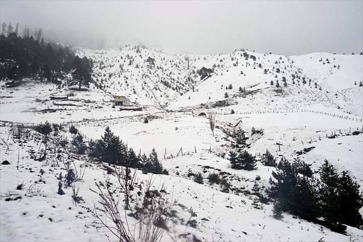 Kar Giresun\'un iç kesimlerinde etkili oluyor