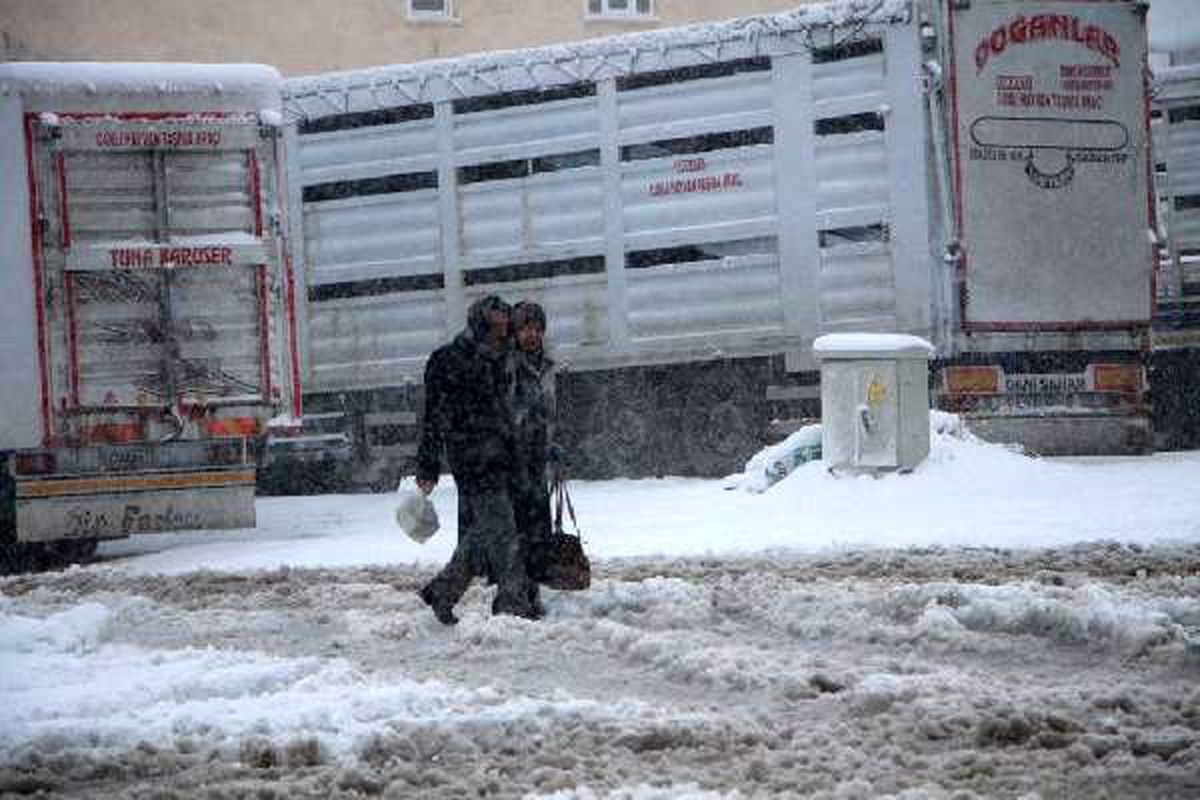 Karlıova\'da kar ve tipi; 10 köy yolu ulaşıma kapandı