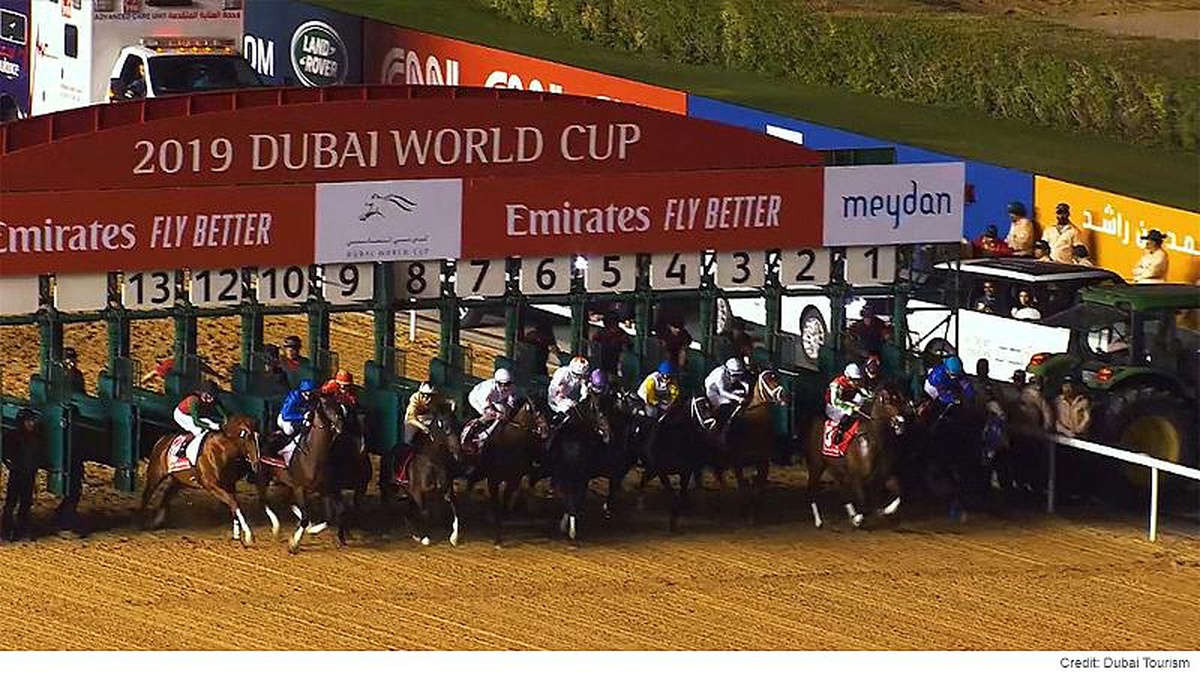 Meydan Hipodromu\'nda düzenlenen \'24. Dubai World Cup\' at yarışı yoğun ilgi gördü