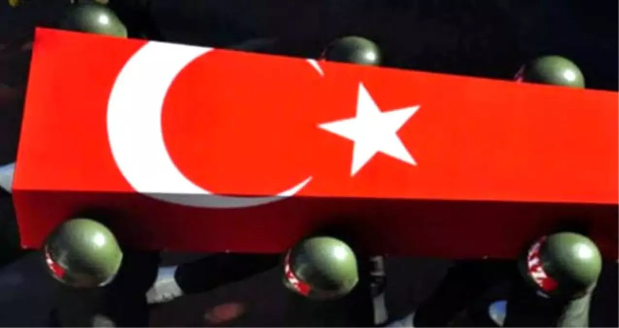 Milli Savunma Bakanlığı, Irak ve Suriye\'de devam eden operasyonlarda 2 askerin şehit olduğunu açıkladı