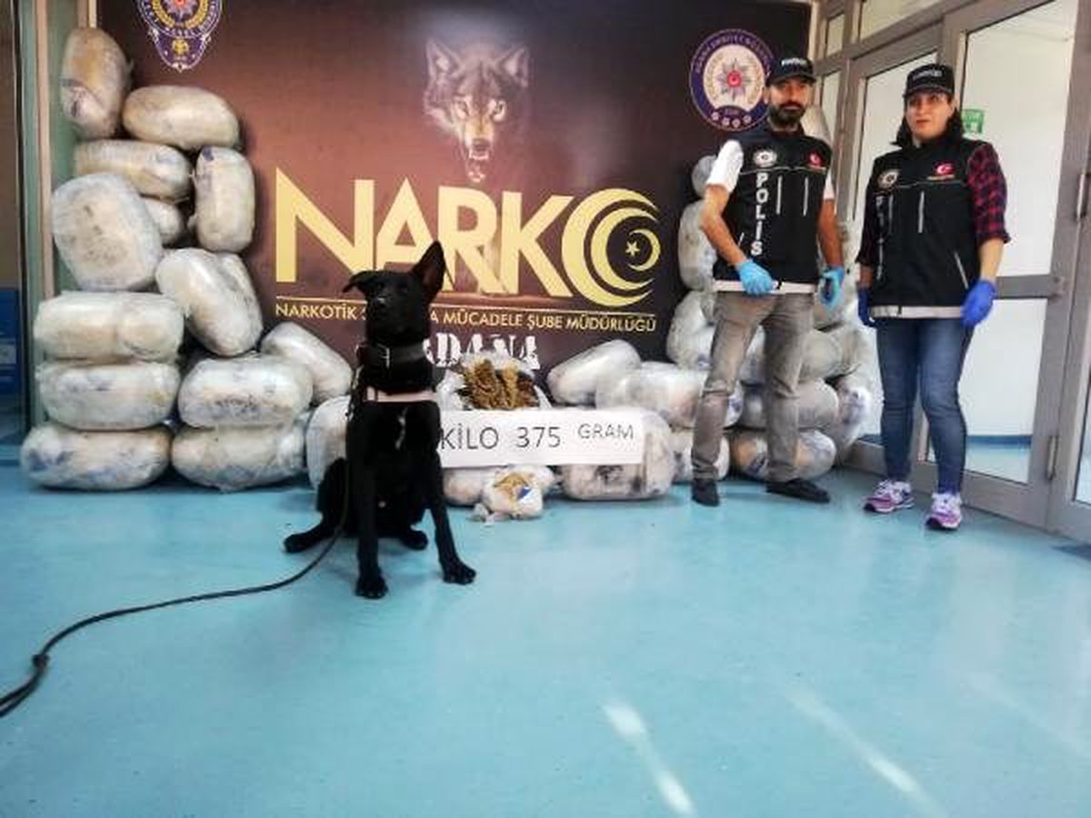 Mobilya yüklü TIR\'da 721 kilo 600 gram esrar ele geçirildi