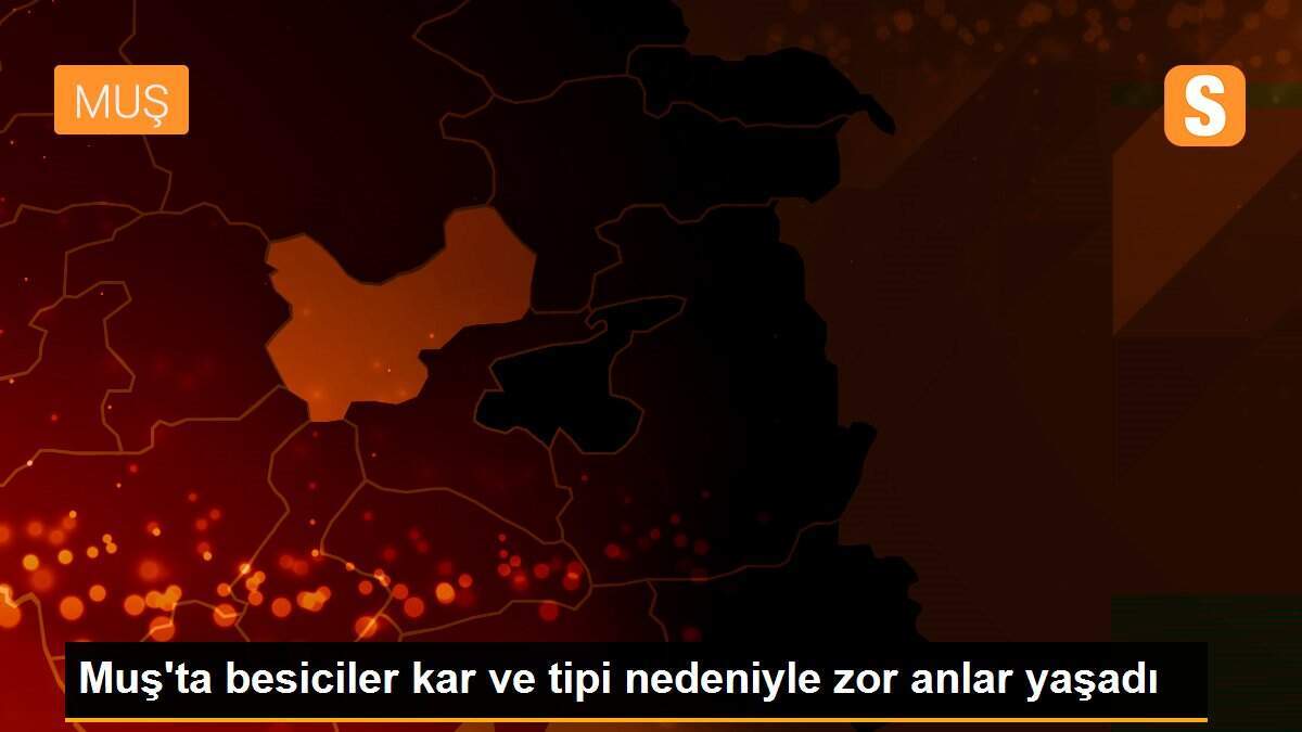 Muş\'ta besiciler kar ve tipi nedeniyle zor anlar yaşadı